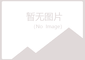 平坝县冰夏咨询有限公司